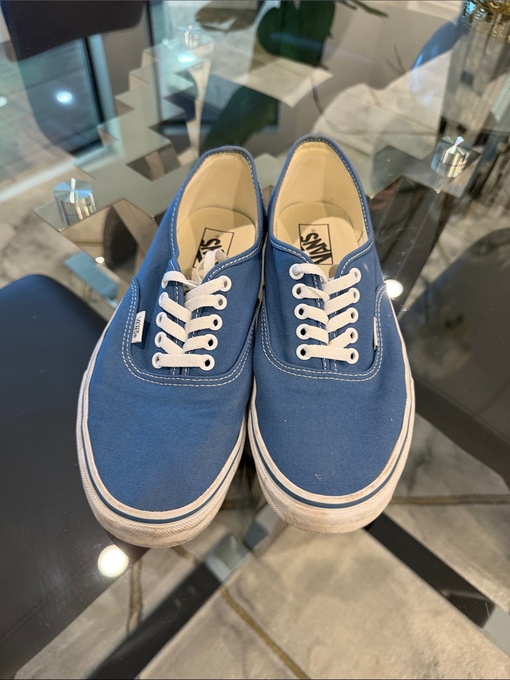 Vans Blue Canvas Low-Top Sneakers